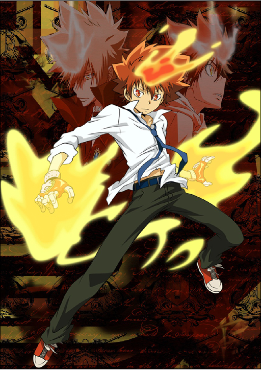 Katekyo Hitman Reborn - XQH000121