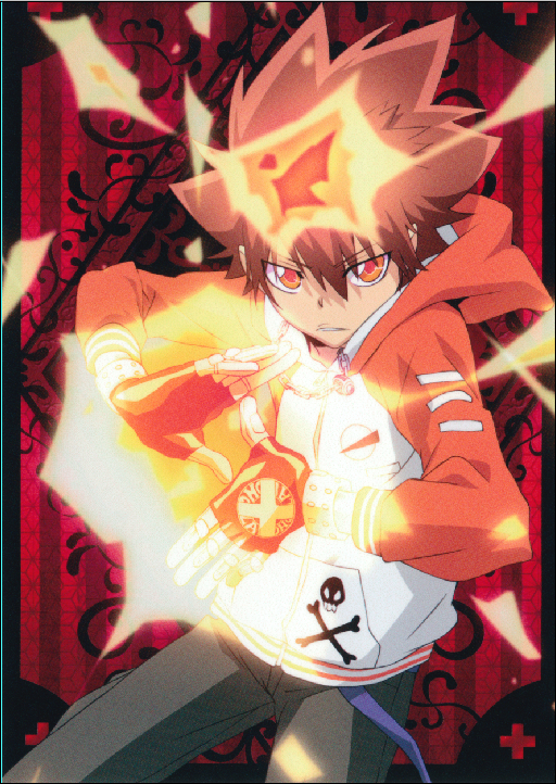 Katekyo Hitman Reborn - XQH000661