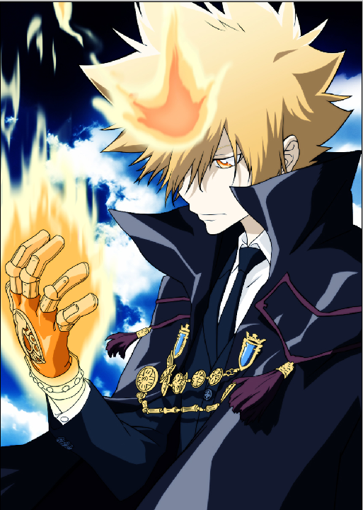 Katekyo Hitman Reborn - XQH000598