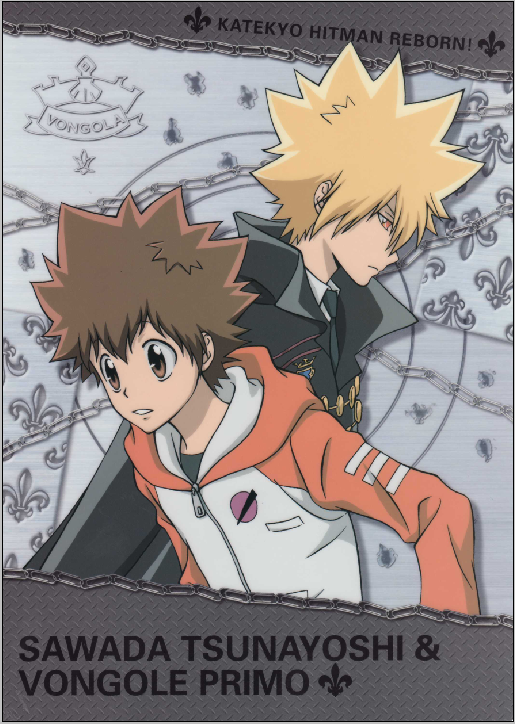 Katekyo Hitman Reborn - XQH000633