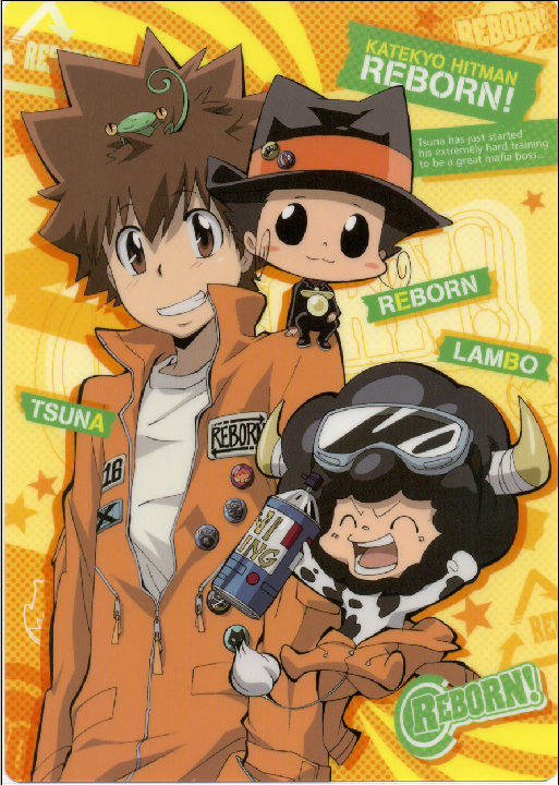 Katekyo Hitman Reborn - XQH000615
