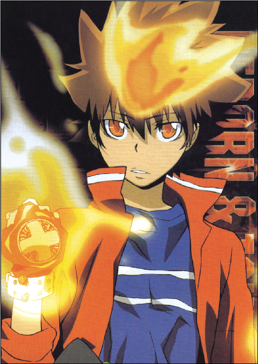 Katekyo Hitman Reborn - XQH000611