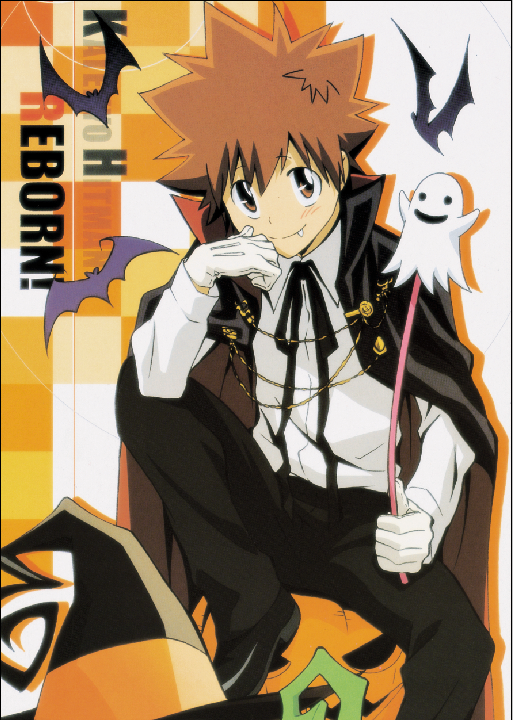 Katekyo Hitman Reborn - XQH000628