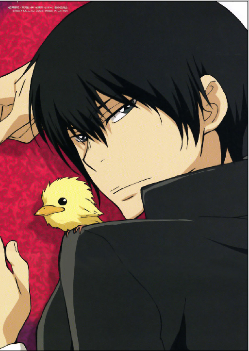 Katekyo Hitman Reborn - XQH000658
