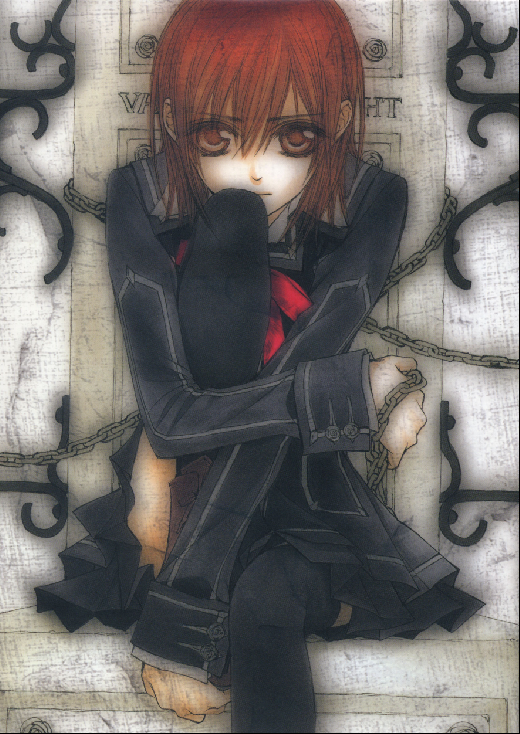 Vampire Knight - XQH000467
