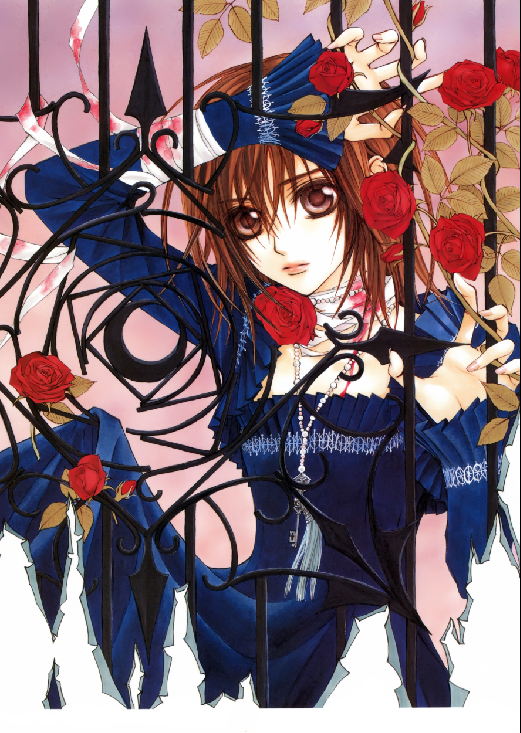 Vampire Knight - XQH000469
