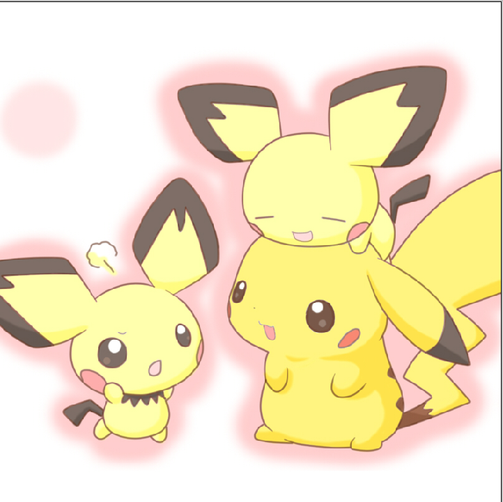 Pokemon - XQH000308