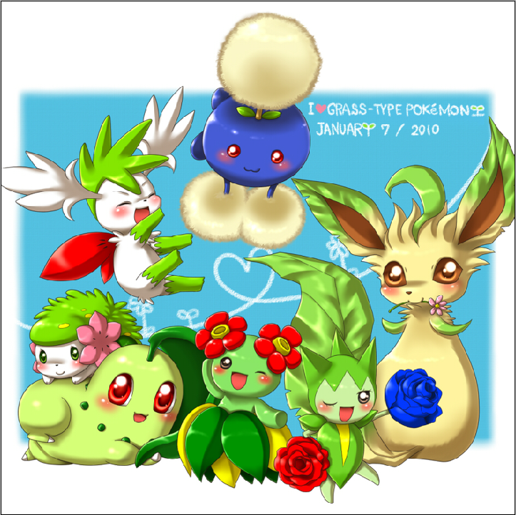 Pokemon - XQH000145