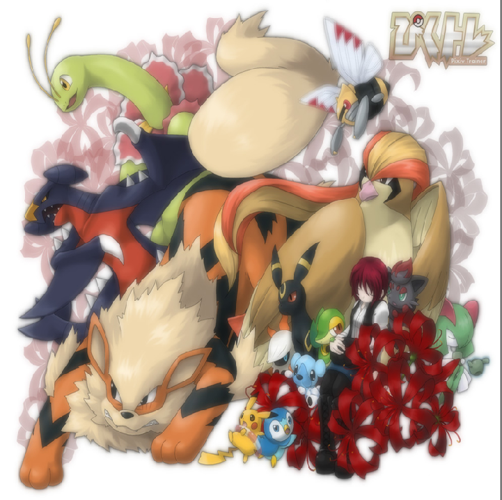 Pokemon - XQH000215