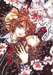 Vampire Knight - XQH000483