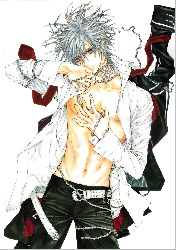 Vampire Knight - XQH000497