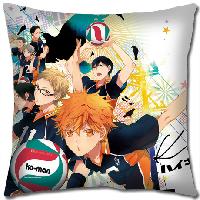 Haikyuu Pillow - HYPW2133