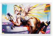 Overwatch Wallscroll - OVWS5971