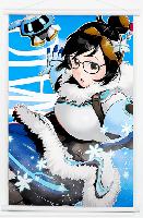 Overwatch Wallscroll - OVWS2954