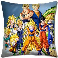 Dragon Ball Z Pillow - DBPW9178