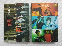 K-pop Stray Kids PostCards - SKCD8769