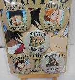 One Piece Pins - OPPN4761