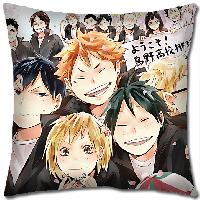 Haikiyu Pillow - HAPW1250