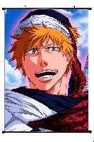 Bleach Wallscroll  - BLWS3812