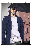 Solo Leveling Wallscroll - SLWS2022
