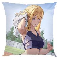 Solo Leveling Pillow - SLPW1054