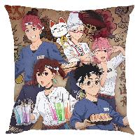 DAN DA DAN Pillow - DDPW9016