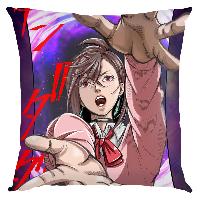 DAN DA DAN Pillow - DDPW9045